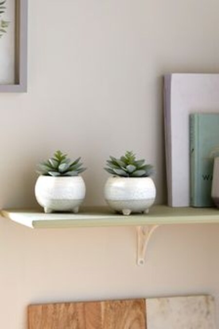 Set of 2 Green Artificial Succulent Plant In Reactive Glaze Pots (A13054) | AED62