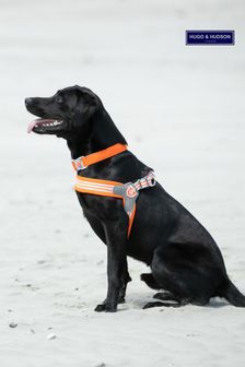 Hugo & Hudson Orange Mesh Easy Dog Harness