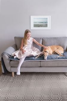 Lounging Hound Grey Sofa Protector Cushion in Slate Grey Lustre Velvet