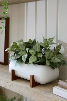 Kunstpflanze in weißem Topf mit Holzständer (A57625) | 54 €