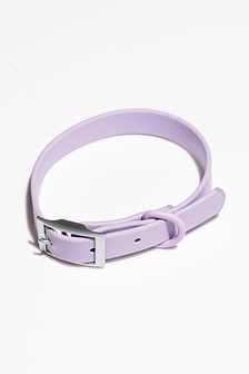 Фиолетовый ошейник Wild One (A64540) | €26