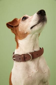 Tan Brown Leather Dog Collar (A90088) | 18 € - 24 €