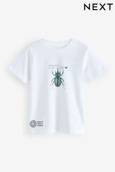 White Beetles Natural History Museum Short Sleeve 100% Cotton T-Shirt (3-16yrs) (AD1730) | $26 - $31