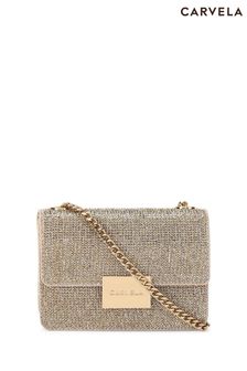 Carvela bag and purse top
