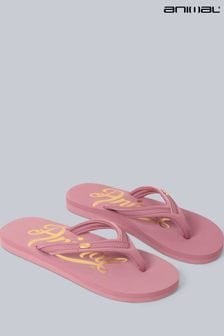 粉色 - Animal Womens Slim Swish Flip Flops (B25867) | NT$1,030