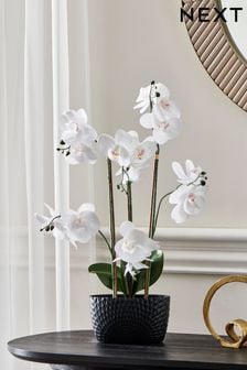 White Artificial Orchid (B29480) | €35