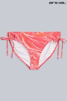 Animal Pink Iona Tie Side Printed Bikini Bottoms