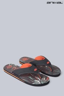 Orange - Animal Mens Jekyl Flip Flops (B39120) | 34 €