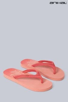 粉色 - Animal Womens Slim Swish Flip Flops (B55763) | NT$1,030