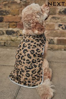 Dog coats next best sale
