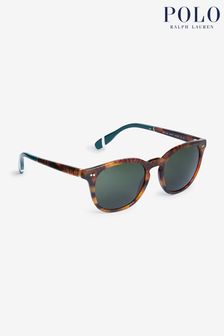 Polo Ralph Lauren PH4206 Brown Sunglasses (B67274) | $216