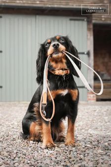 Lords and Labradors Linen Essentials Twill Dog Collar (B68820) | MYR 114 - MYR 150