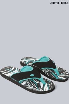 深藍色 - Animal Fiery Swish女士夾趾拖鞋 (B81775) | NT$1,030