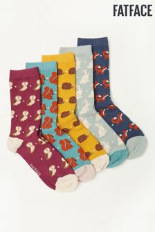 Fat Face Red Woodland Socks 5 Pack (C06685) | €25