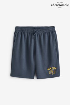 Abercrombie & Fitch New York Mesh Shorts (C15910) | $53