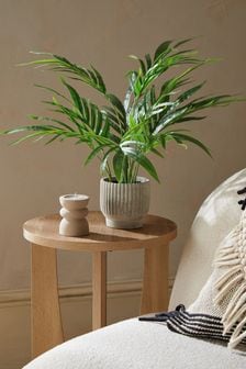 Mini planta de palma Kentia artificial en maceta de hormigón acanalada (C31139) | 28 €