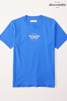 Blau - Abercrombie & Fitch Oversized-T-Shirt mit Logo (C48012) | 23 €