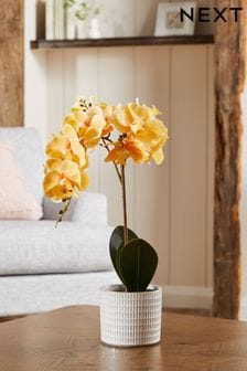 Yellow Artificial Real Touch Orchid In Country Pot (C85001) | $54
