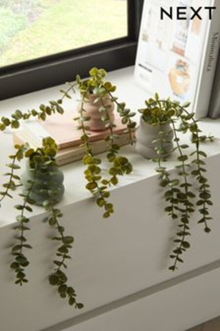 Set of 3 Green Artificial Trailing Plants With Ceramic Pots (C87606) | AED81