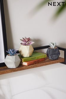 Set of 3 Multi Artificial Succulents In Concrete Geo Pot (C88731) | 9,500 Ft