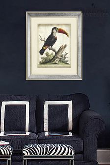 Brookpace Lascelles z nadrukiem toukanów w ramce z lustrem w stylu antique (D39455) | 609 zł
