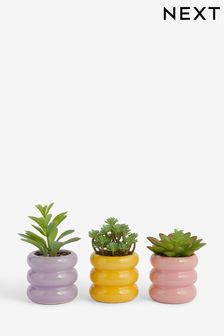 Set of 3 Green Artificial Succulents In Bright Pots