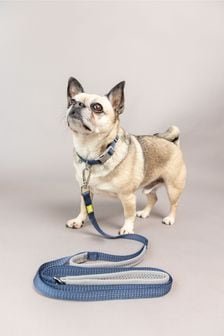 BUILT Blue Pet NightSafe™ Double Handled Small Dog Lead (D78693) | €36