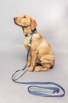 BUILT Blue Pet NightSafe™ Double Handled Medium Dog Lead (D78694) | €42