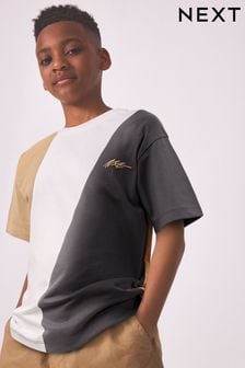 Cement/White/Grey Colourblock Short Sleeve T-Shirt (3-16yrs) (D84680) | €8 - €13