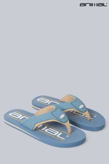 Animal Pale Blue Jekyl Recycled Logo Flip Flops (E60663) | €29