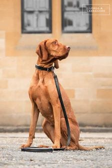 Lords And Labradors Hundeleine aus italienischem Leder (F40796) | 92 € - 107 €