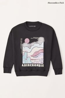 Sudadera negra con cuello redondo & Fitch Desert Graphic de Abercrombie (K74431) | 55 €