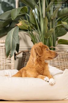 Lords and Labradors Cream Box Dog Bed Savanna (K74955) | €157 - €272
