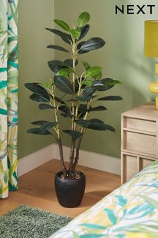 Green Artificial Large Rubber Plant (K80760) | NT$3,970