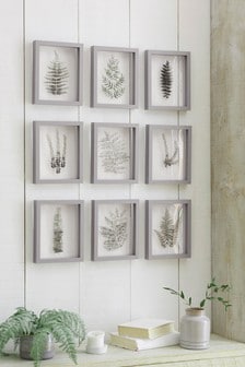 Conjunto de 9 láminas con marco y diseño botánico flotante (M03077) | 69 €