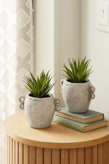 Set of 2 Green Artificial Succulent Plants In Natural Handled Pot (M04777) | BGN 63