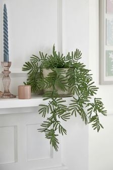 Green Artificial Trailing Fern Plant In Green Pot (M17035) | 896 UAH