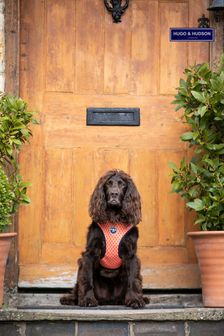 Hugo & Hudson Orange Geometric Dog Harness