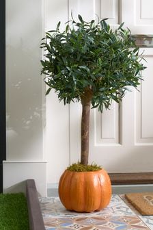 Orange Pumpkin Plant Pot (M74914) | $50
