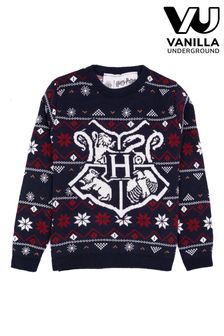 Vanilla Underground Blue Harry Potter Kids Christmas Jumper (N13502) | €37