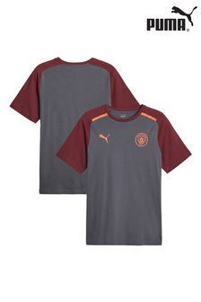 Puma Grey Manchester City Casuals T-Shirt (N16032) | €55