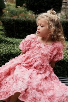 Pink Rose 3D Floral Occasion Dress (3-16yrs) (N31957) | €50 - €58