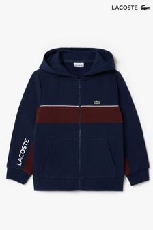 Boys Lacoste Casual Sweatshirtsandhoodies Next Luxembourg