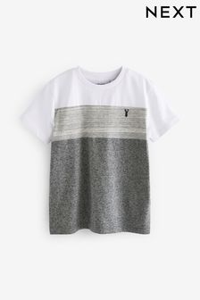Grey Colourblock Short Sleeve T-Shirt (3-16yrs) (N60930) | $10 - $15