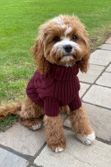 Lipsy Berry Red Super Soft Cable Knit Dog Jumper (P91626) | €7.50