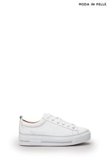 Moda In Pelle Abbiy Chunky Slab Sole Side Zip Lace Up Blue Trainers (Q49263) | OMR67