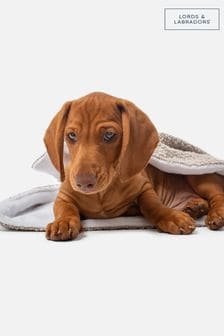 Lords and Labradors Mink Brown Dog & Puppy Boucle Blanket (Q63557) | €50 - €64