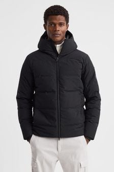 Scandinavian Edition Hooded Puffer Jacket (Q74738) | ₪ 3,012