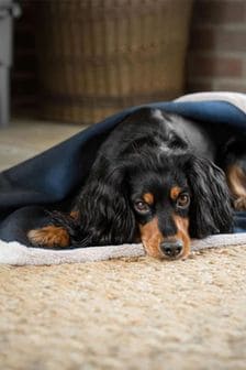 Lords and Labradors Blue Essentials Twill Dog Blanket (Q99827) | $96