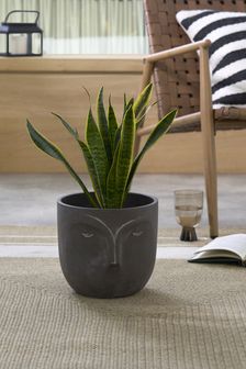 Concrete Face Plant Pot (T03261) | $50